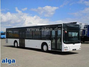 Autobús urbano MAN Lions City, A 21, NL 313, A/C, 41 Sitze: foto 1