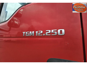 Camión MAN TGM TGM 12.250 4x2 eFH./Radio/2x Luftsitz: foto 5
