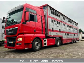 Camión transporte de ganado MAN TGX18.480 XXL  Pezzaioli 3 Stock Vollausstattung: foto 1