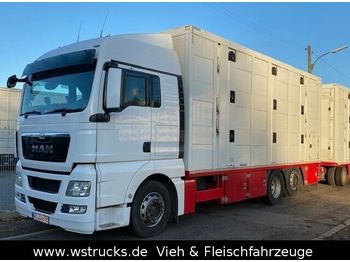 Camión transporte de ganado MAN TGX 26.480 XL Menke   3 Stock Vollalu: foto 1