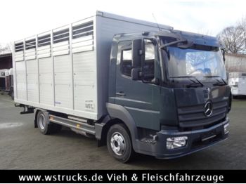 Camión transporte de ganado para transporte de animales Mercedes-Benz 821L" Neu" WST Edition" Menke Einstock Vollalu: foto 1