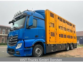 Camión transporte de ganado Mercedes-Benz Actros 2545  6x2 Menke 3 Stock Vollalu: foto 1