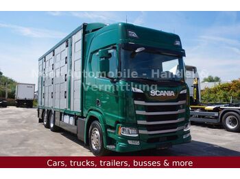 Camión transporte de ganado Scania R500 LL HighLine *4Stock-Menke/Retarder/LenkLift: foto 1