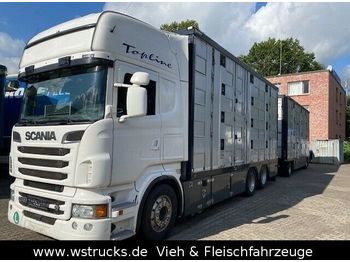 Camión transporte de ganado Scania R 560 Topline Menke 4 Stock Hubdach Komplett: foto 1