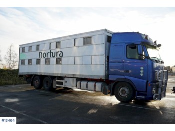 Camión transporte de ganado Volvo FH12: foto 1
