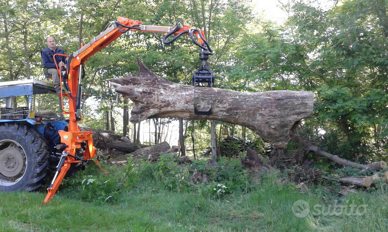 Grúa para camión para Maquinaria forestal nuevo Gru- caricatore forestale pas450: foto 5