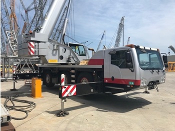 Autogrúa TEREX-DEMAG Challenger C3160