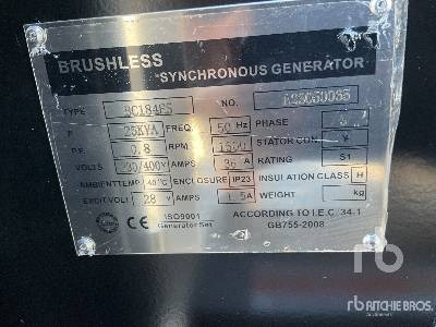 Generador industriale nuevo PLUS POWER GF2-25 25 kVA (Unused): foto 14