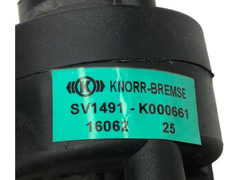 Suspensión neumática KNORR-BREMSE Stralis (01.02-): foto 4