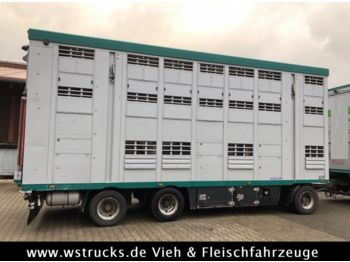 Remolque transporte de ganado Menke 3 Stock Ausahrbares Dach Vollalu Typ 2: foto 1