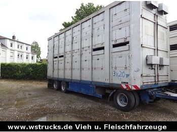 Remolque transporte de ganado Menke-Janzen Menke 2 Stock Spindel Viehanhänger: foto 1