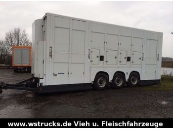 Remolque transporte de ganado Menke Tridem Doppelstock: foto 1