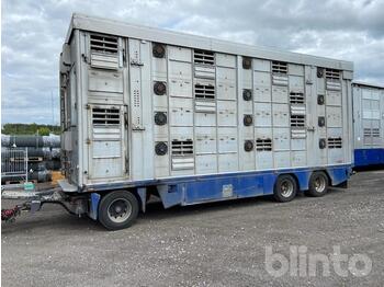  2009 Finkl VA21 - Remolque transporte de ganado