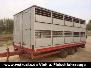 KABA Tandem Einstock  - Remolque transporte de ganado