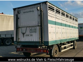 Westrick Viehanhänger 1Stock, trommelbremse  - Remolque transporte de ganado