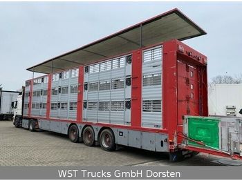 Semirremolque transporte de ganado Finkl  3 Stock Ausahrbares Dach Vollalu Typ 2: foto 1