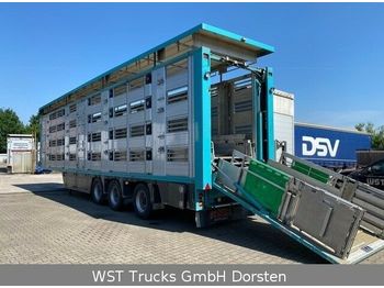 Semirremolque transporte de ganado Finkl 4 Stock Ausahrbares Dach Vollalu Typ 2: foto 1