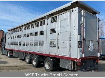 Semirremolque transporte de ganado Menke 3 Stock Lenk Lift  Vollalu: foto 1