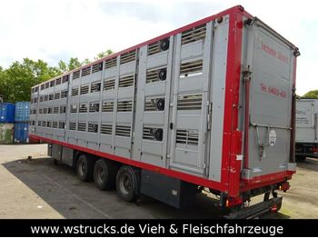 Semirremolque transporte de ganado Menke 4 Stock   Lüfter  Tränk: foto 1