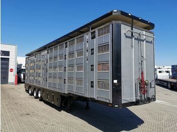 Semirremolque transporte de ganado Pezzaioli Menke-Janzen / 4 Stock / Hudbach / Lenkachse: foto 1