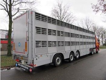 Semirremolque transporte de ganado nuevo Pezzaioli SBA 63 S: foto 1