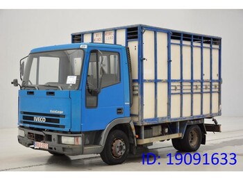 Camión transporte de ganado IVECO