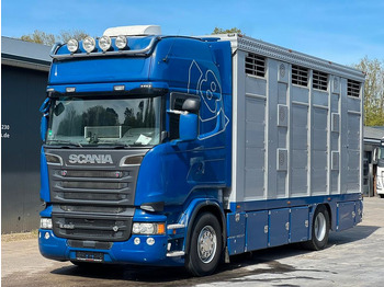 Camión transporte de ganado SCANIA R 520