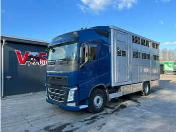 Camión transporte de ganado VOLVO FH 500