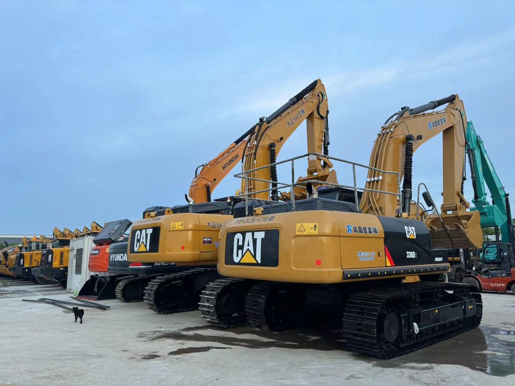 Sunight Development Company Limited - Cabezas tractoras - China undefined: foto 2