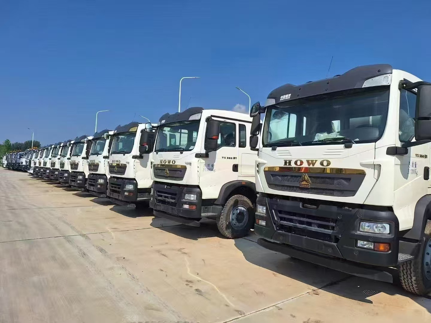 Jining Chengshun International Trade Co. Ltd. - anuncios sobre venta undefined: foto 9