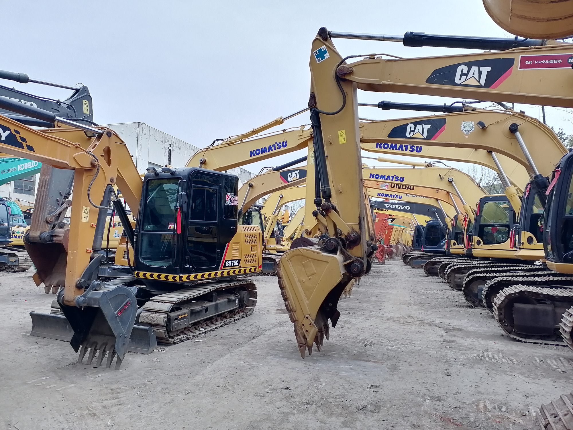 Qingdao Higher Weight Trade Co. LTD undefined: foto 8