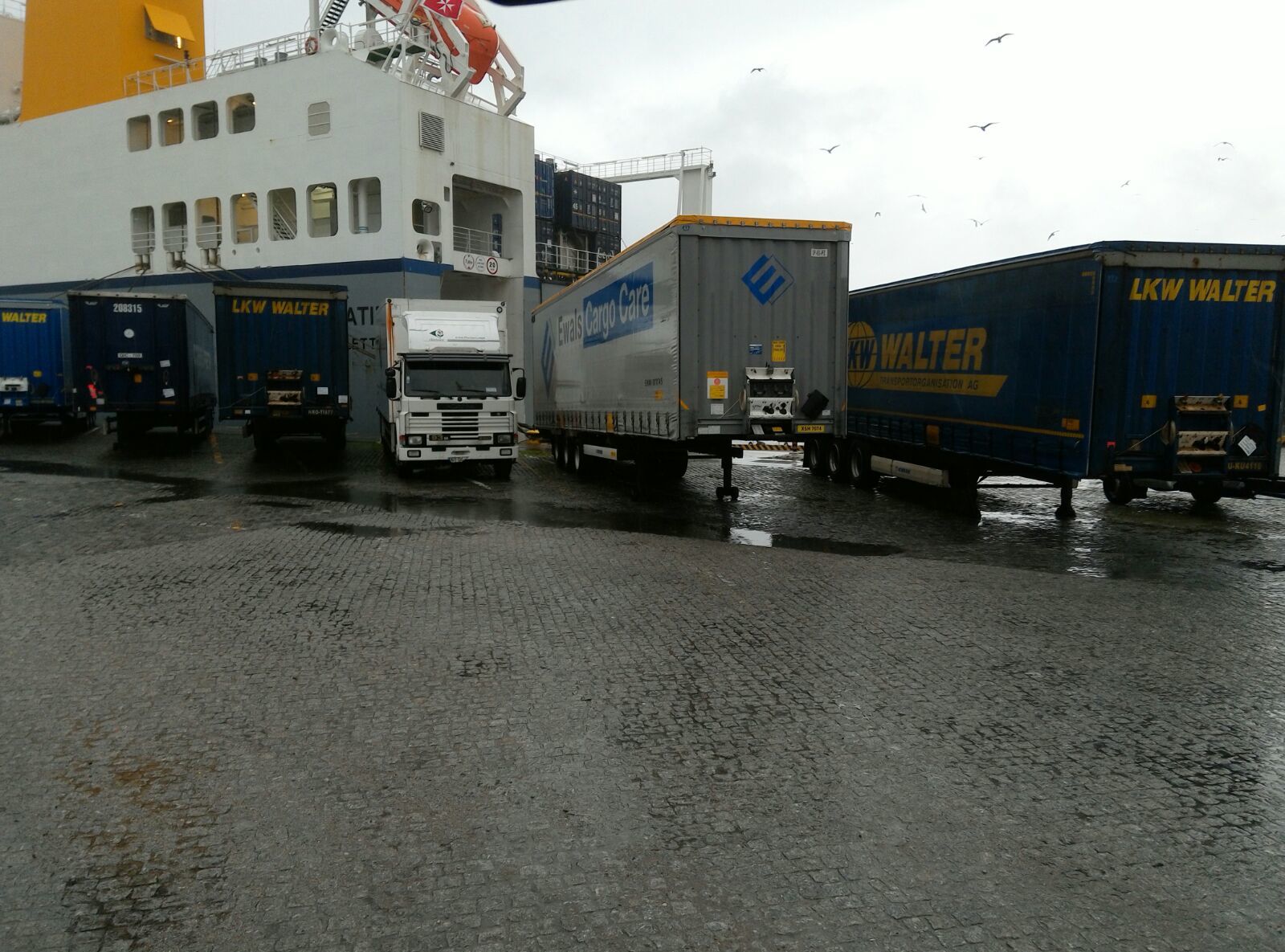Britannia Export Consultants Limited undefined: foto 18