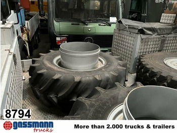 Neumáticos y llantas