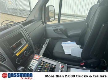 Furgón Mercedes-Benz Sprinter 516 CDI 4x2, Rettungswagen, Bi-Xenon: foto 3