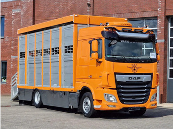 Camión transporte de ganado DAF XF 530