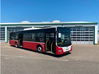 Autobús urbano MAN A 21 Lions City  KLIMA  EURO 6  ZF EcoLife: foto 2