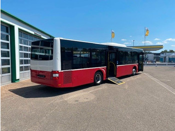 Autobús urbano MAN A 21 Lions City  KLIMA  EURO 6  ZF EcoLife: foto 4