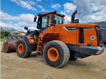 Cargadora de ruedas DOOSAN DL300