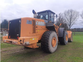 Cargadora de ruedas CASE Radlader 1221 E 6,5 m³ Schaufel: foto 3