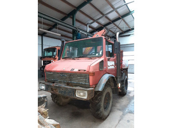 Camión grúa UNIMOG