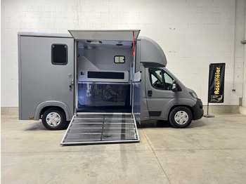 Camión para caballos FIAT