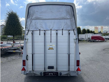 Remolque de coche HUMBAUR HP 2000 Pferdeanhänger: foto 4