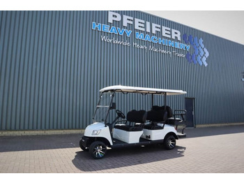 Carrito de golf BRINGO
