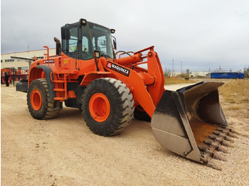 Cargadora de ruedas DOOSAN DL300: foto 2