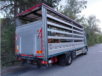 Leasing de  Mercedes-Benz Actros 1836 4x2, E6, Ladebordwand, Fahrschule Mercedes-Benz Actros 1836 4x2, E6, Ladebordwand, Fahrschule: foto 4