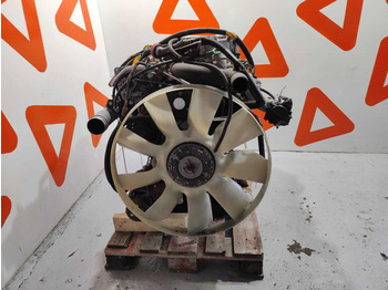 Motor para Camión MAN D0836 LFL63 EURO5 ENGINE: foto 4