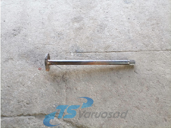 : imagen de cabecera