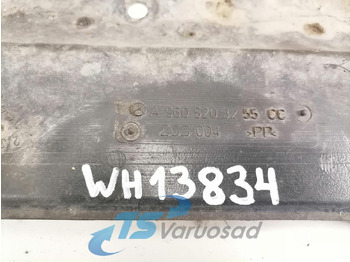 Pieza universal para Camión Mercedes-Benz Põhjakaitse A9605203255: foto 2 Pieza universal para Camión Mercedes-Benz Põhjakaitse A9605203255: foto 2