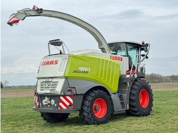 Leasing de Claas Jaguar 950 Allrad  Claas Jaguar 950 Allrad: foto 5