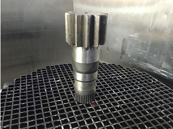 : imagen de cabecera